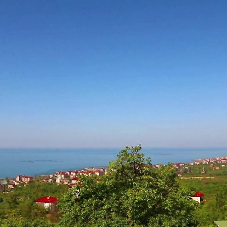 Royal Villa Trabzon Exteriér fotografie